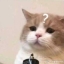 Đào Thị Cúc