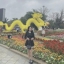 Kim Nhạn