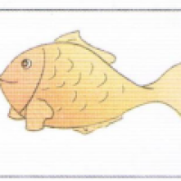 Trương Thị Như Quỳnh