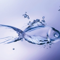 Nguyễn Thanh Hiền