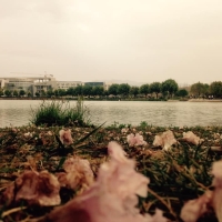 Phạm Đức Cảnh