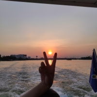 Hoa Hướng Dương