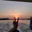 Hoa Hướng Dương
